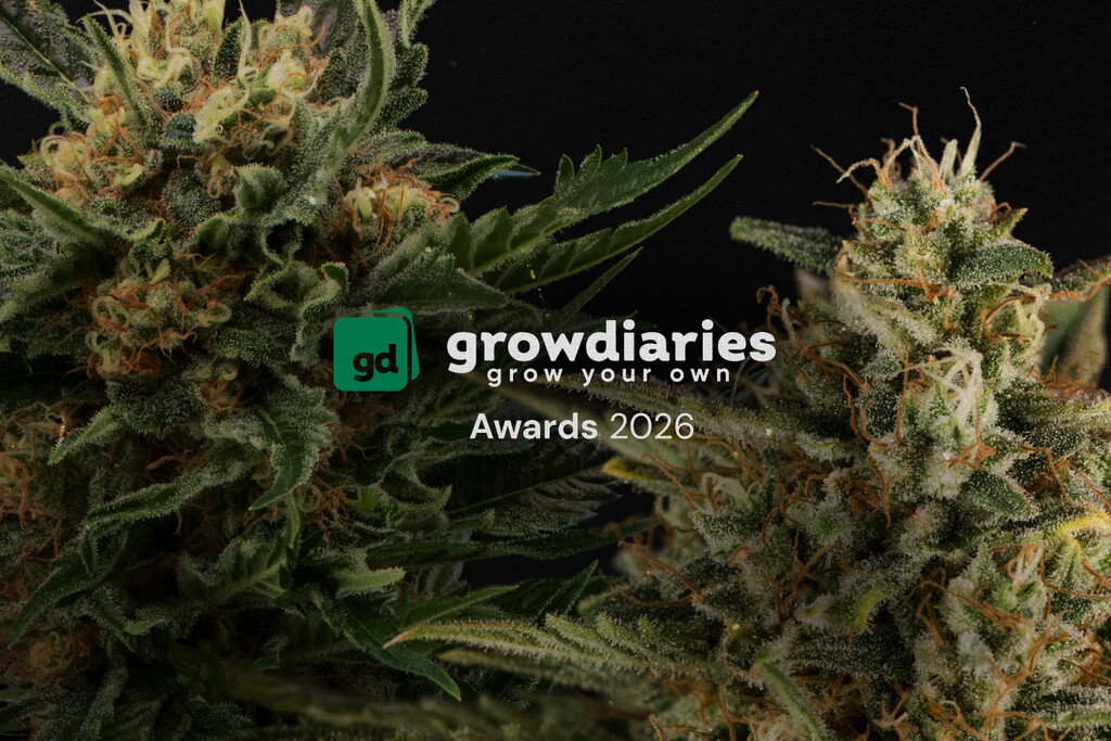 Royal Queen Seeds gewinnt 4 große Titel bei den GrowDiaries Awards 2026