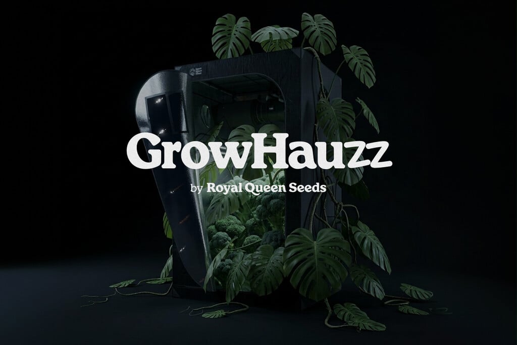 RQS wächst: Einführung von GrowHauzz