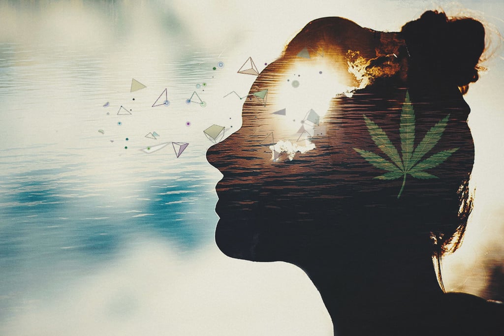 Verursacht Cannabis einen niedrigeren Intelligenzquotienten?