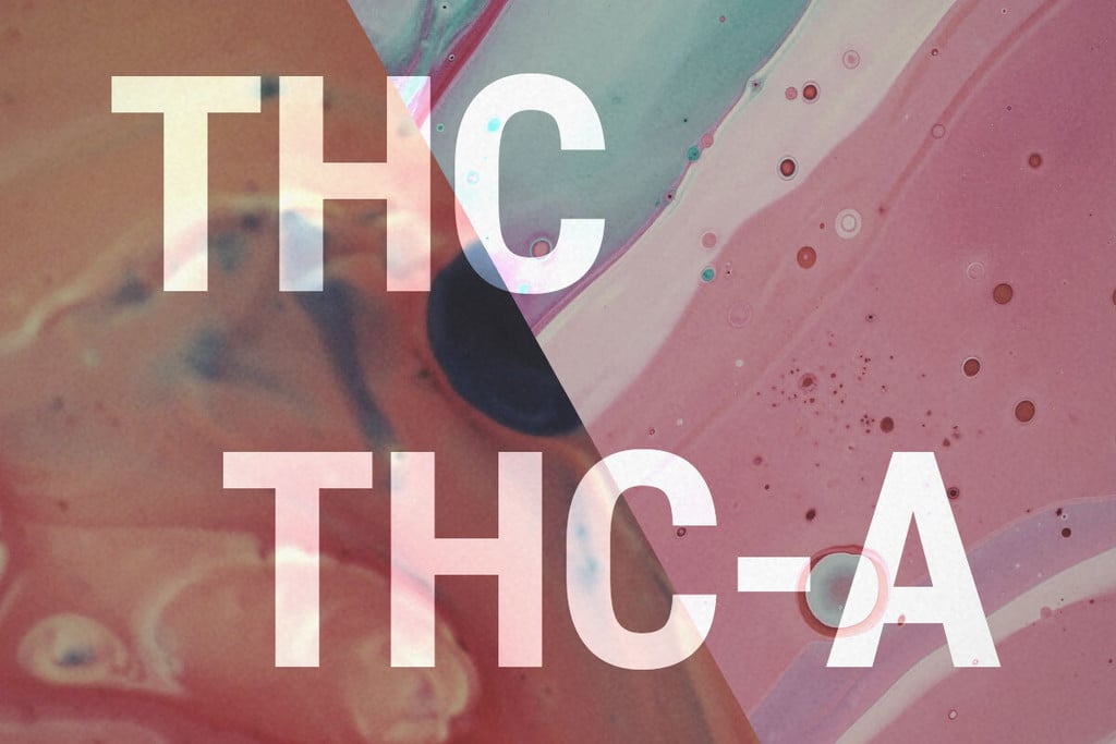 THCA Und THC: Was Ist Der Unterschied?