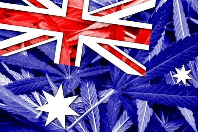 Australien Hat Den Anbau Von Medizinischem Marihuana Legalisiert