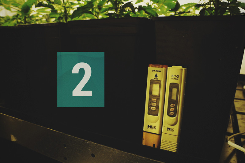 Cannabis & Wasserqualität Teil 2: PPM & EC