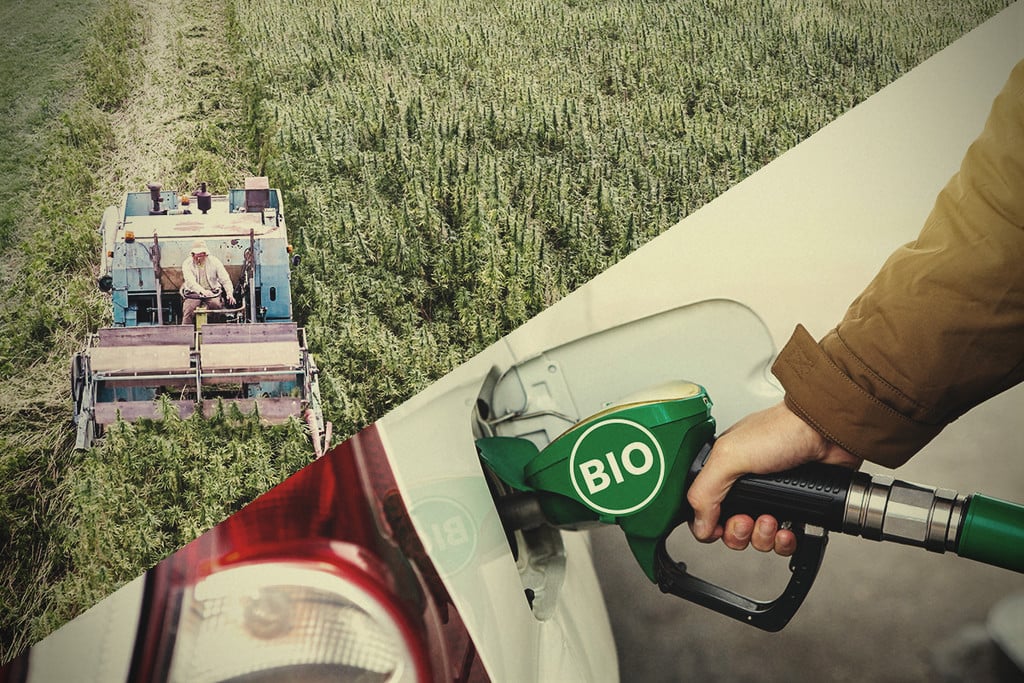 Hanf-Biokraftstoff: Ist dies die Antwort auf die Umweltkrise?