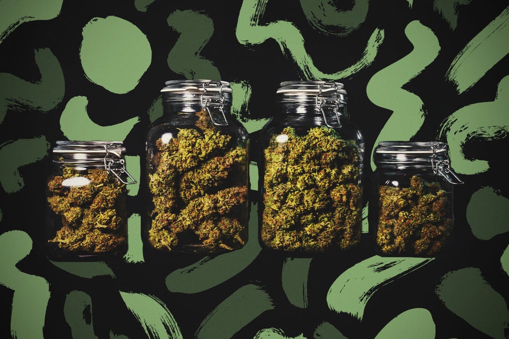 Wie man Cannabisblüten aushärtet