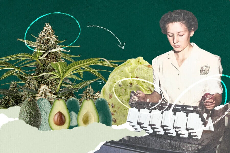 Rezept: Cannabiseis mit Minze-Schoko und Avocado