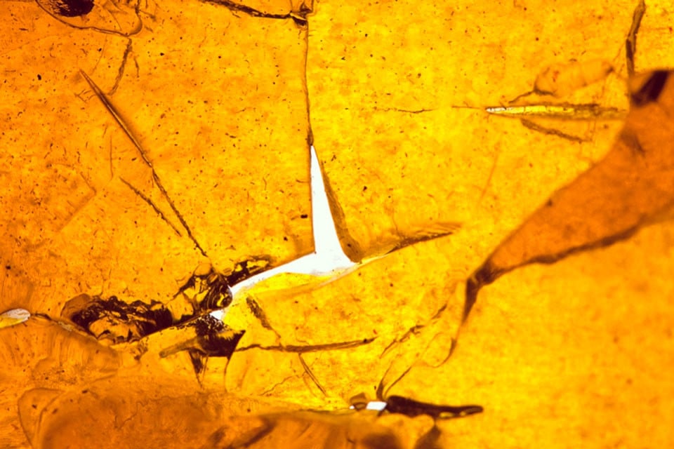 Grundkurs Marihuana: Eine Dabbing-Anleitung