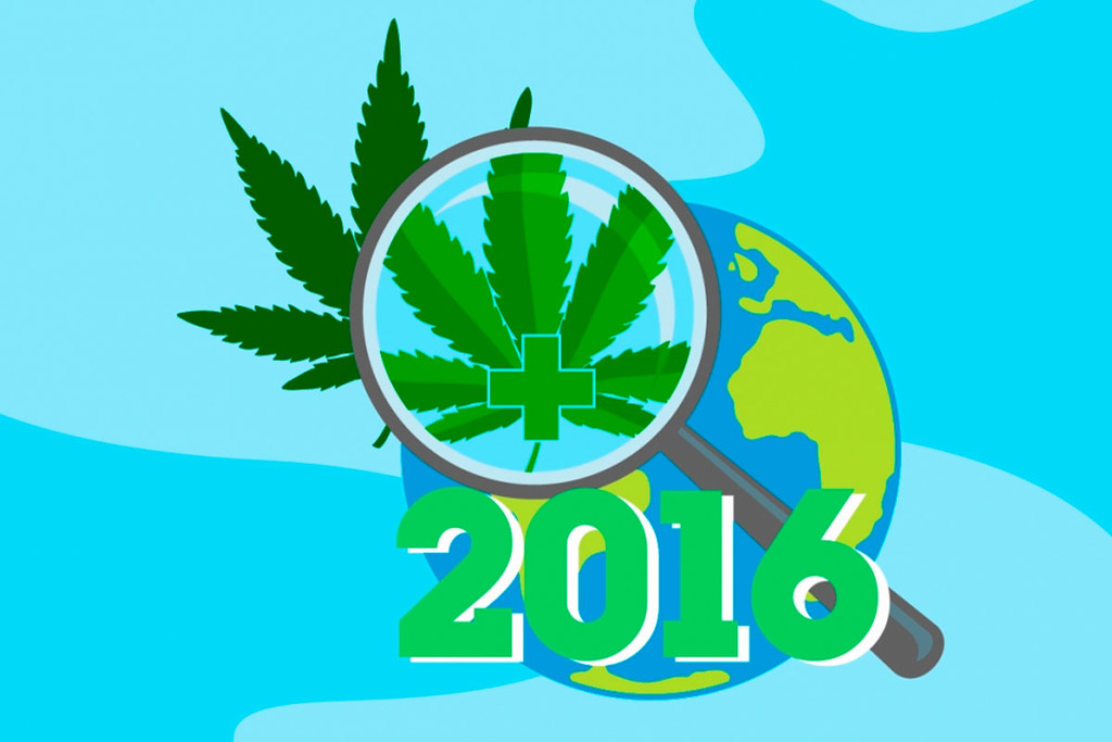 Marihuana Legalisierungszusammenfassung 2016