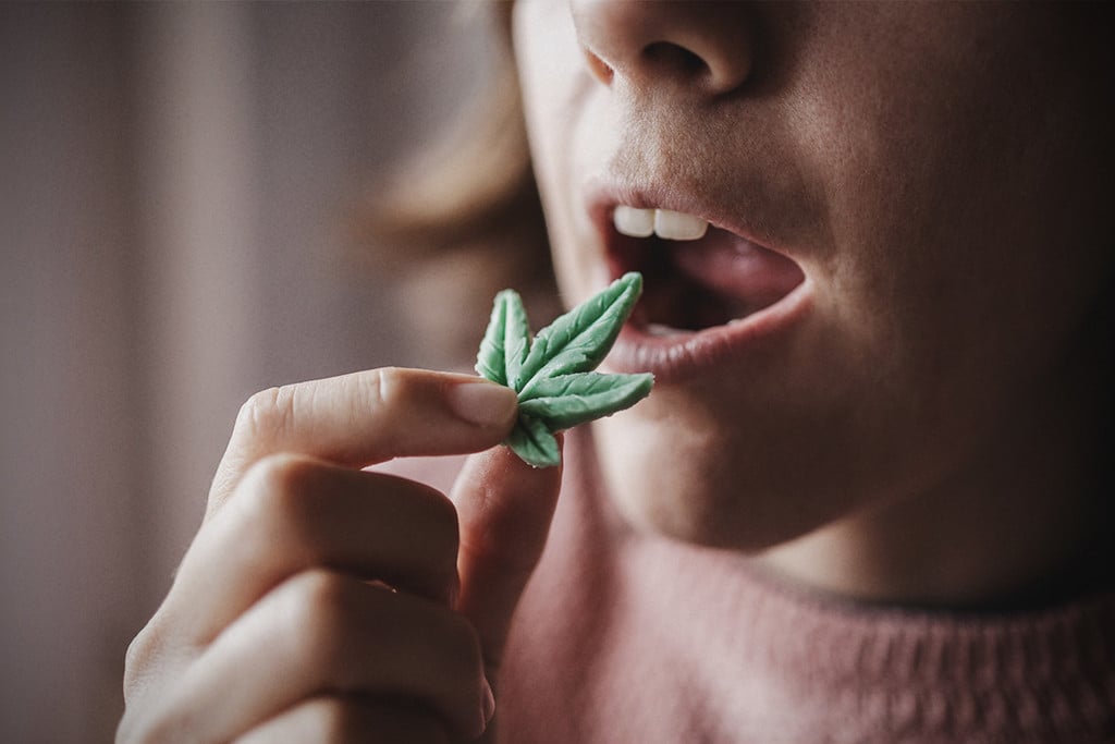 Cannabis und Anorexie: Was wir bisher wissen