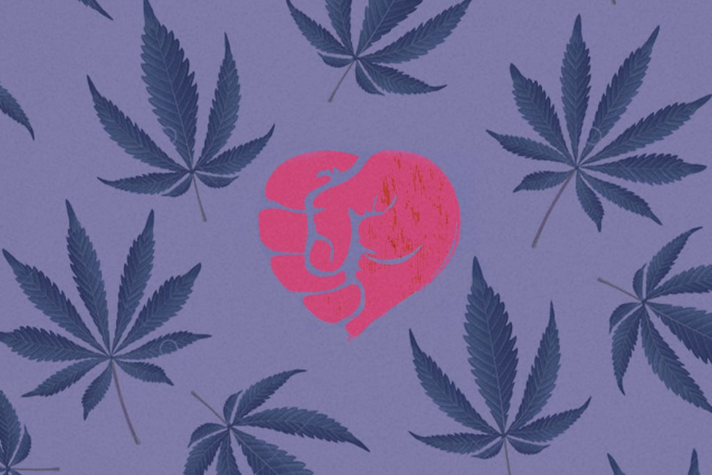 Die Beziehung zwischen Cannabiskonsum und häuslicher Gewalt