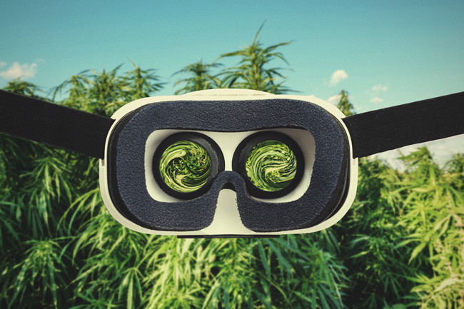 Hilfreiche Gerätschaften Für Den Cannabisanbau