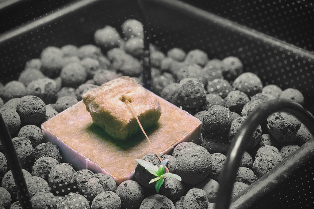 dünger apfelbaum Apfelbaum Dünger - Mineralischer NPK Flüssigdünger mit Stickstoff main image 1