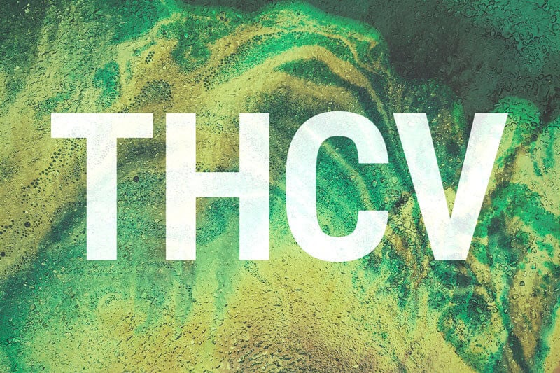 THCV – ein aufstrebendes Mitglied der Cannabinoid-Familie