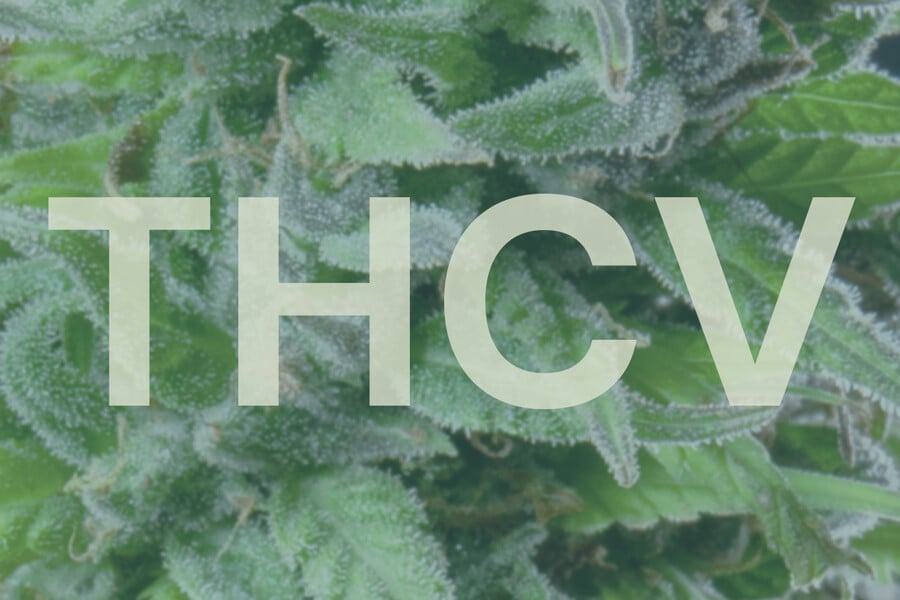 Was ist THCV und wie unterscheidet es sich von THC?