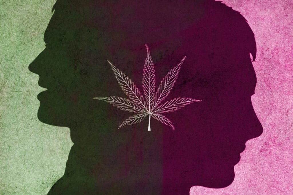 Wie Beeinflusst Cannabis Eine Bipolare Störung?