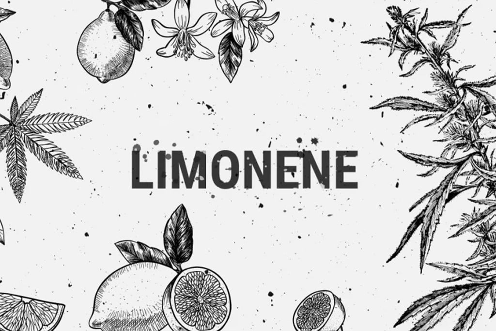 Limonen: Ein Medizisches, Rekreationales Und Schmackhaftes Terpen