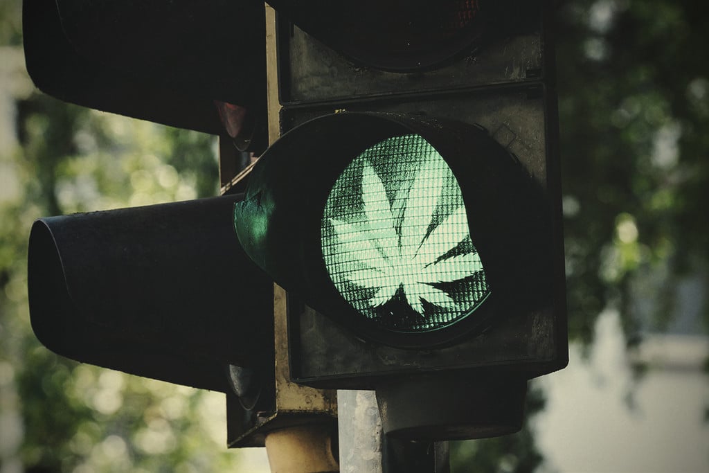 10 Gründe, warum Cannabis weltweit legalisiert werden sollte