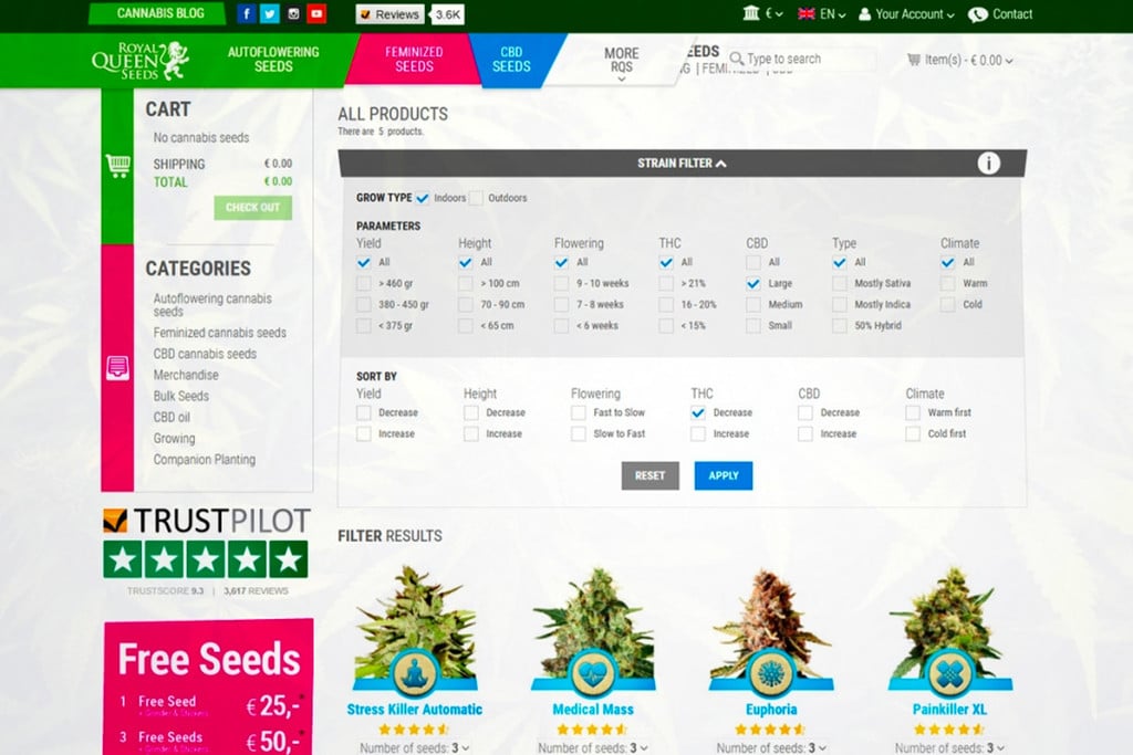 Die Einführung Der Neuen Sortensuche Von Royal Queen Seeds!