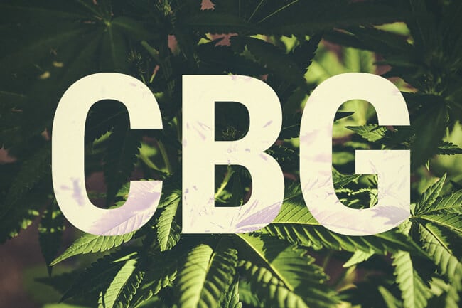 Was Ist Cannabigerol (CBG)?