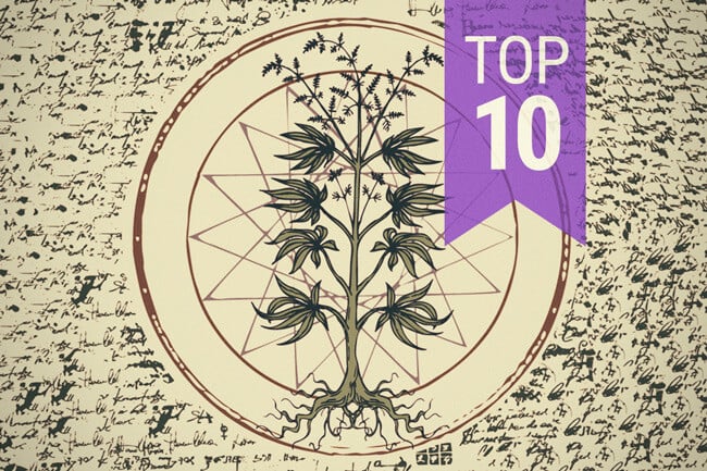 Die 10 bekanntesten Mythen über Cannabis