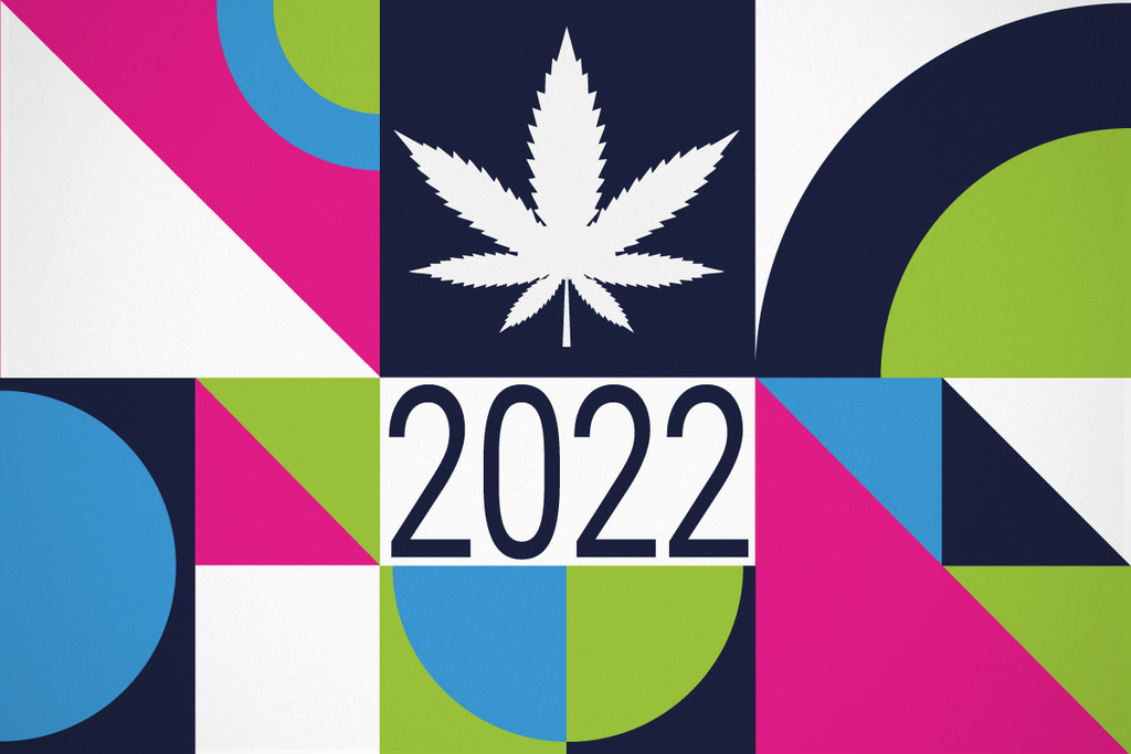 Europäische Drogenberichte: Cannabiskonsum - Statistiken 2022
