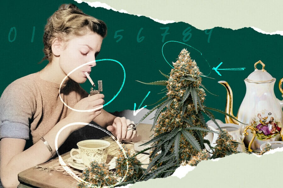 Anleitung: So bereitet man Cannabis-Tee zu