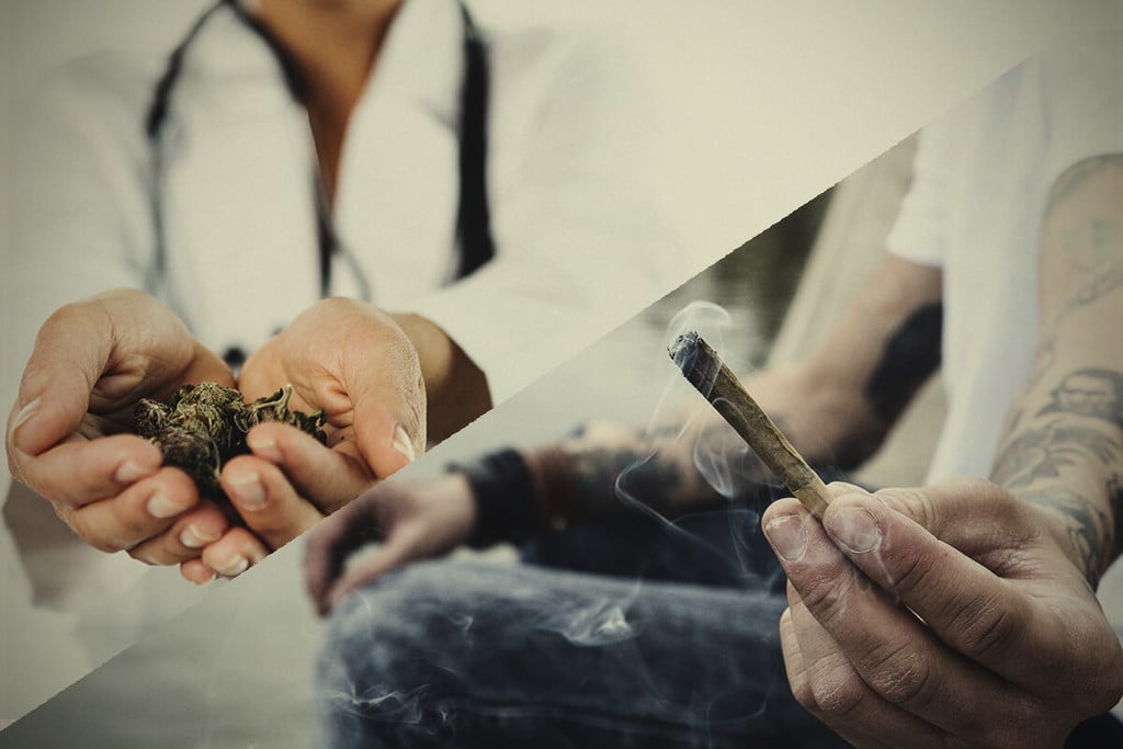 Medizinisches Cannabis vs. Cannabis als Genussmittel: Was ist der Unterschied?