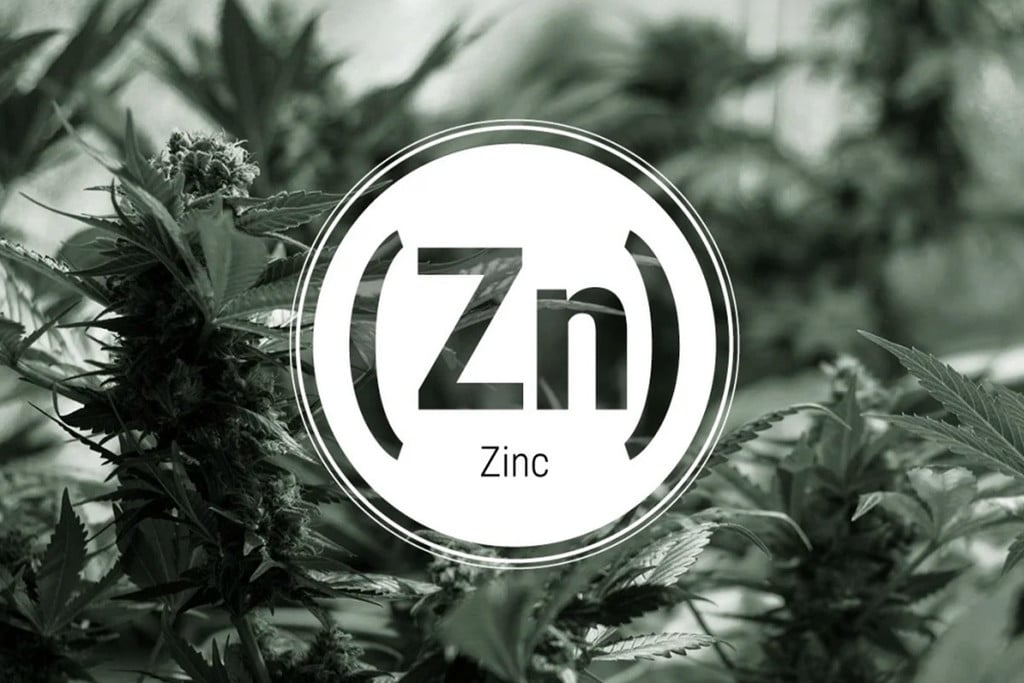 Zinkmangel bei Cannabis: Anzeichen und Lösungen