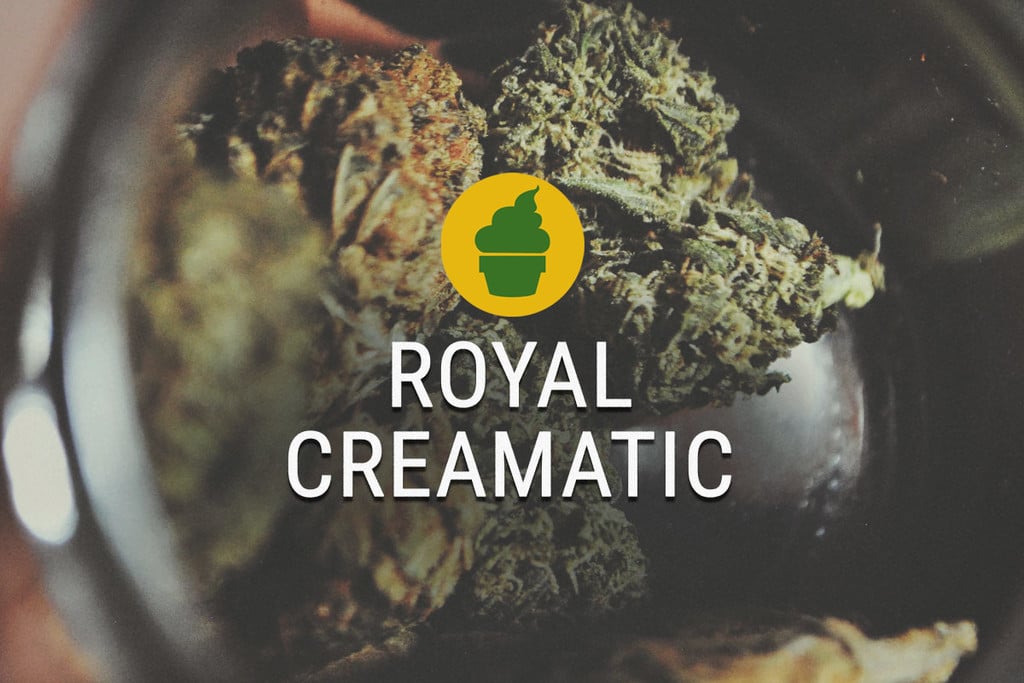 Royal Creamatic Rauchbericht