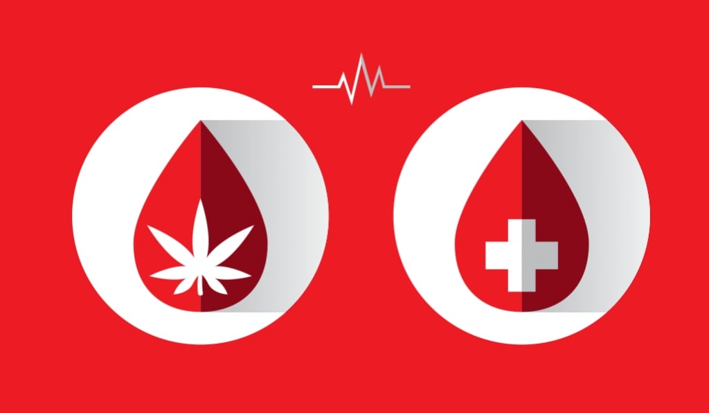 Blutspenden als Cannabiskonsument