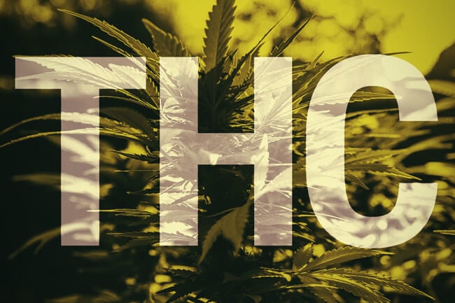 Was ist THC?