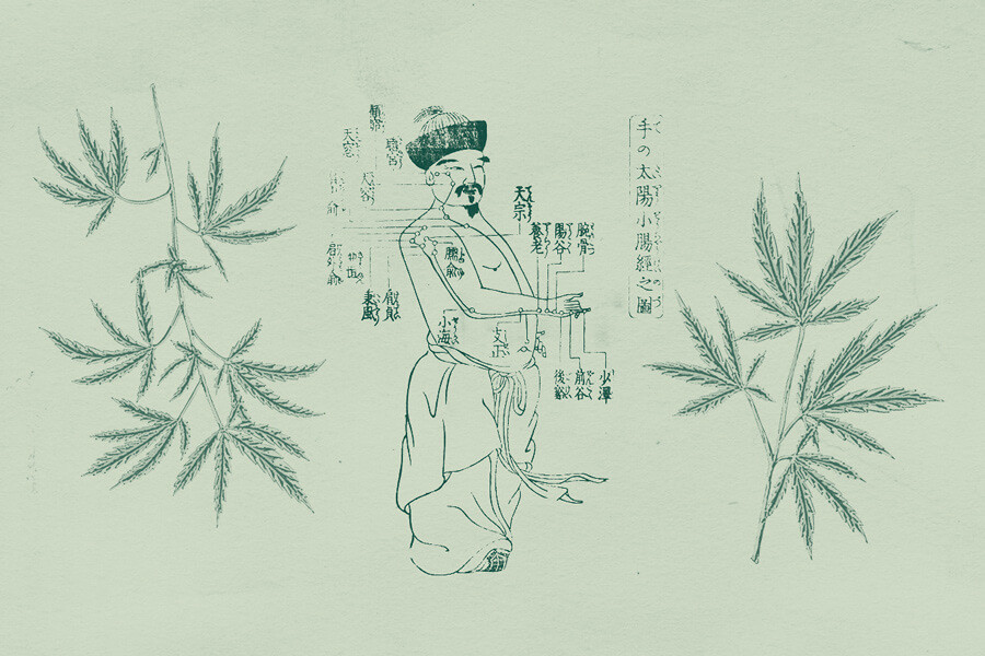 Die Verwendung von Cannabis in der Traditionellen Chinesischen Medizin