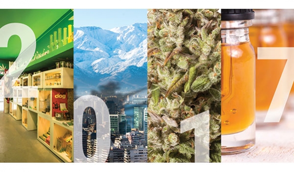 2017, Ein Jahr In Weed