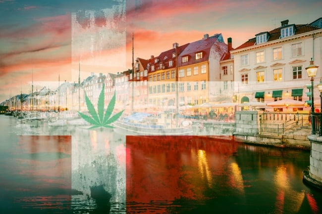 Medizinisches Cannabis-Versuchsprogramm in Dänemark bewilligt