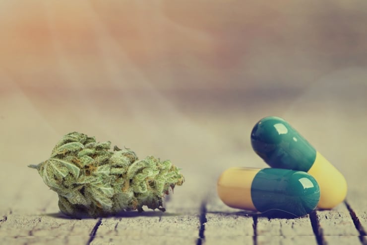 Wie Cannabis mit Antidepressiva interagiert