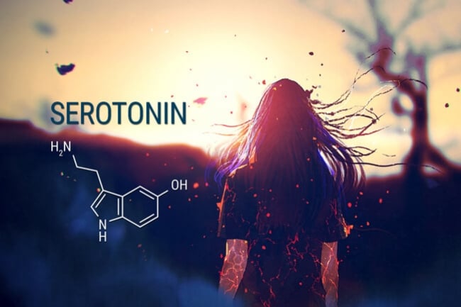 CBD, Serotonin und Angst