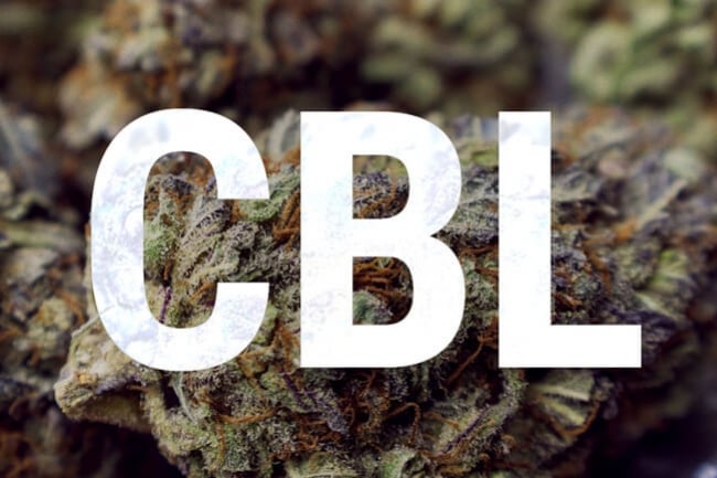 Cannabicyclol: Die Grundlagen dieses Cannabinoids verstehen