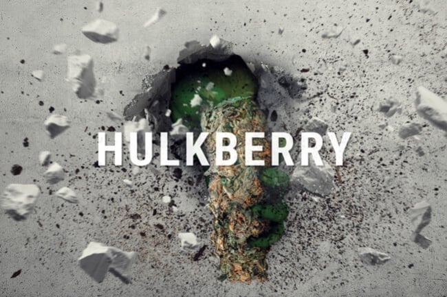 HulkBerry: Die Kush mit dem Sativa-Alter-Ego