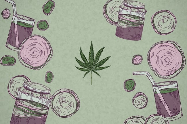 Was ist Cannabis-Kombucha und wie bereitet man es zu