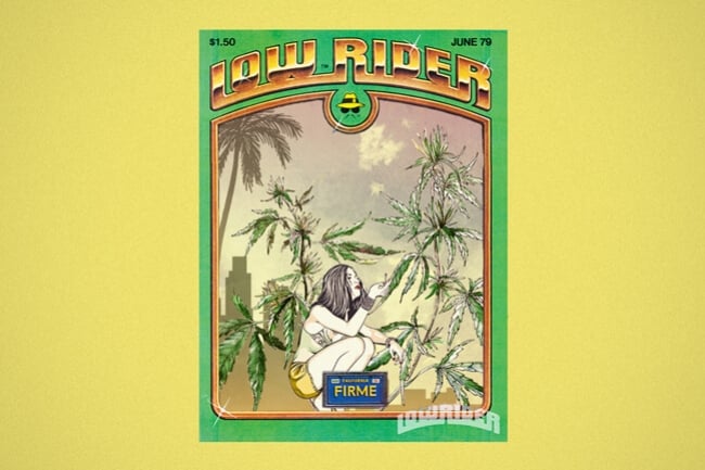 Lowryder: Die erste wahre autoflowering Cannabissorte