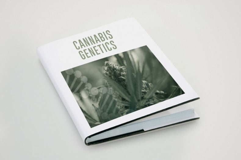 Die Terminologie der Cannabisgenetik
