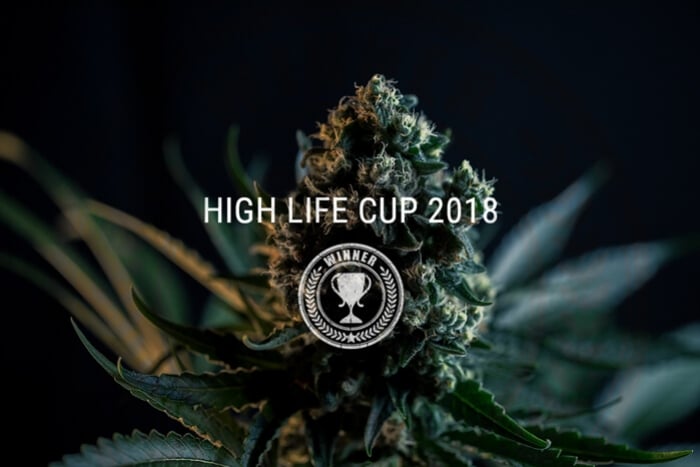 Royal Queen Seeds räumt beim Highlife Cup 2018 ab