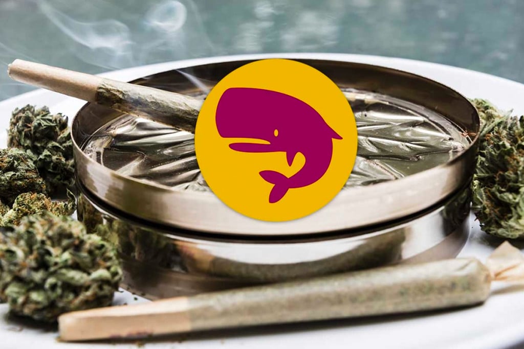 Royal Moby Sorte-Rauchbericht