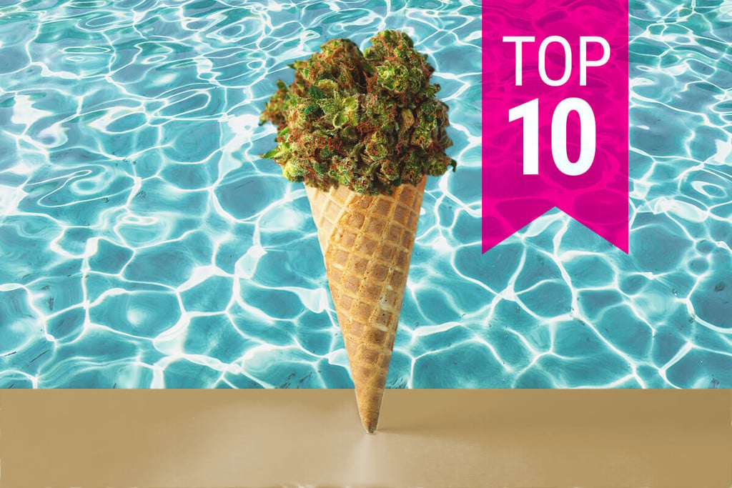 Top 10 Sorten, um diesen Sommer high und stoned zu sein