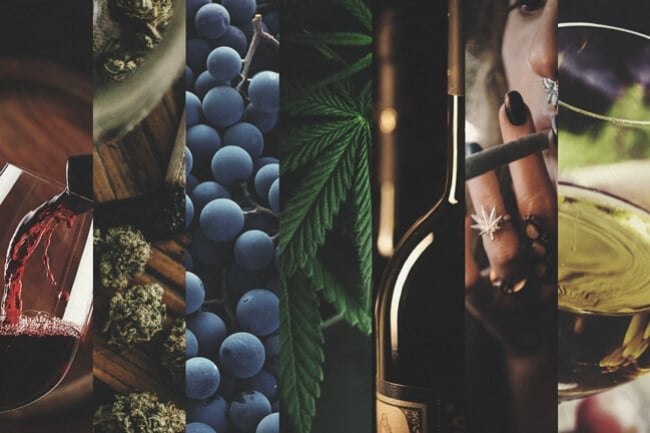 Der Aufstieg von Cannabis und was er für die Alkoholindustrie bedeutet