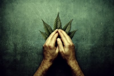 Die genialsten Verstecke, um Cannabis aufzubewahren. - RQS Blog