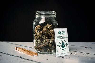 Wie Man Cannabis Langfristig Lagert Und Frisch Halt Rqs Blog