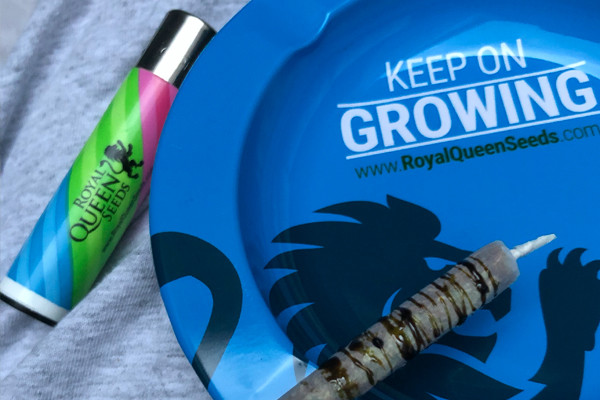 Royal Queen Seeds Aschenbecher Royal Queen Seeds Aschenbecher