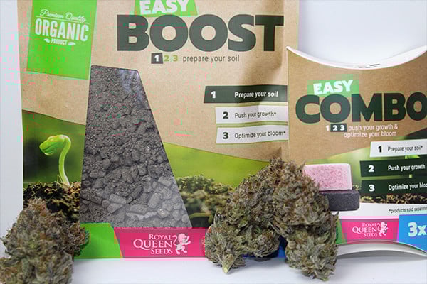 Easy Boost Organische Ernährung