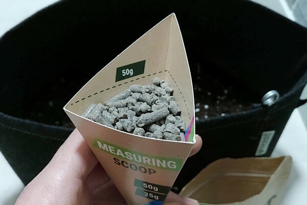 Easy Boost Organische Ernährung