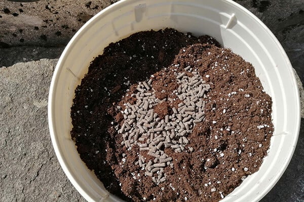 Easy Boost Organische Ernährung